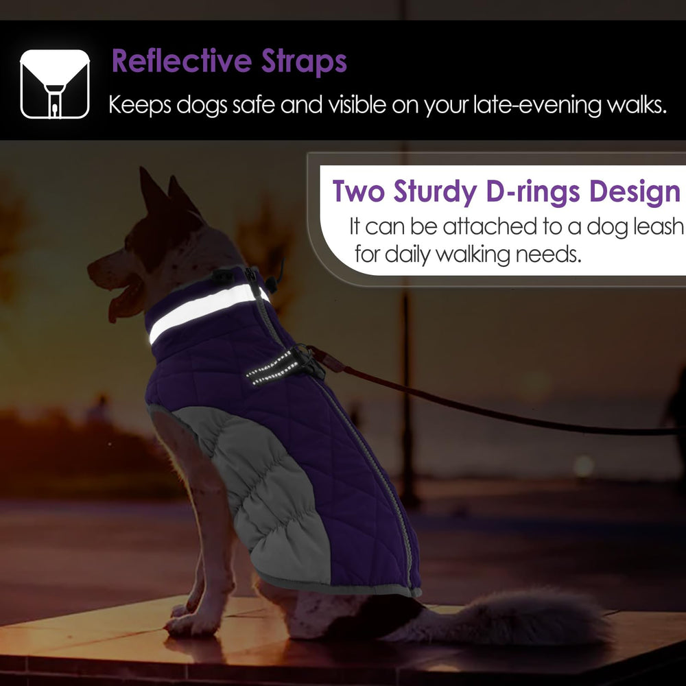AOFITEE dog coat dual D-ring leash attachments for secure walks