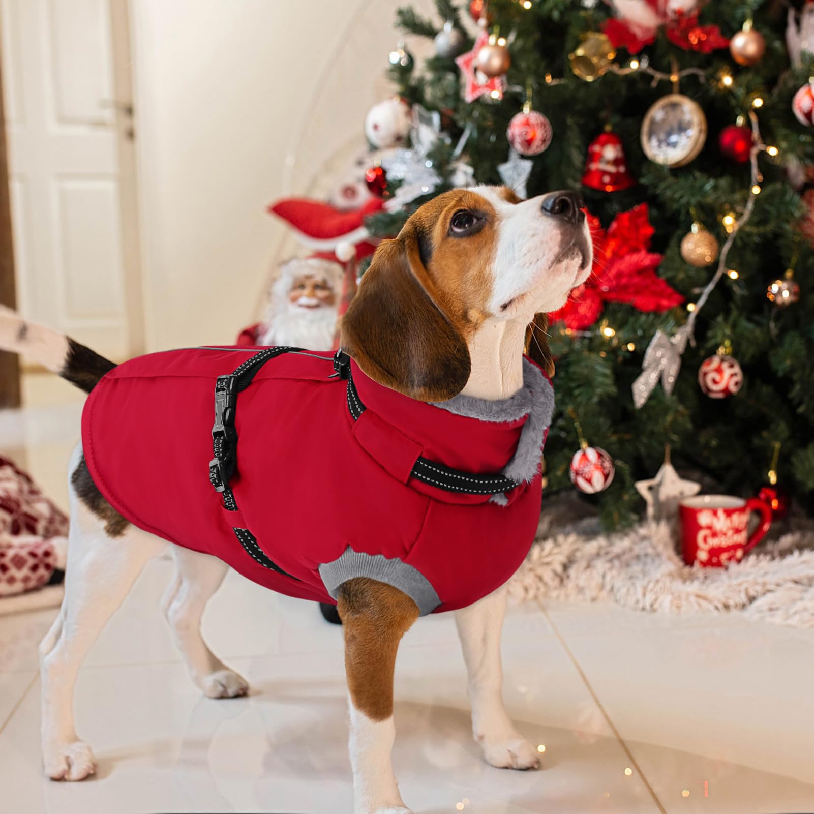AOFITEE dog coat size range suitable for small to extra large breeds.