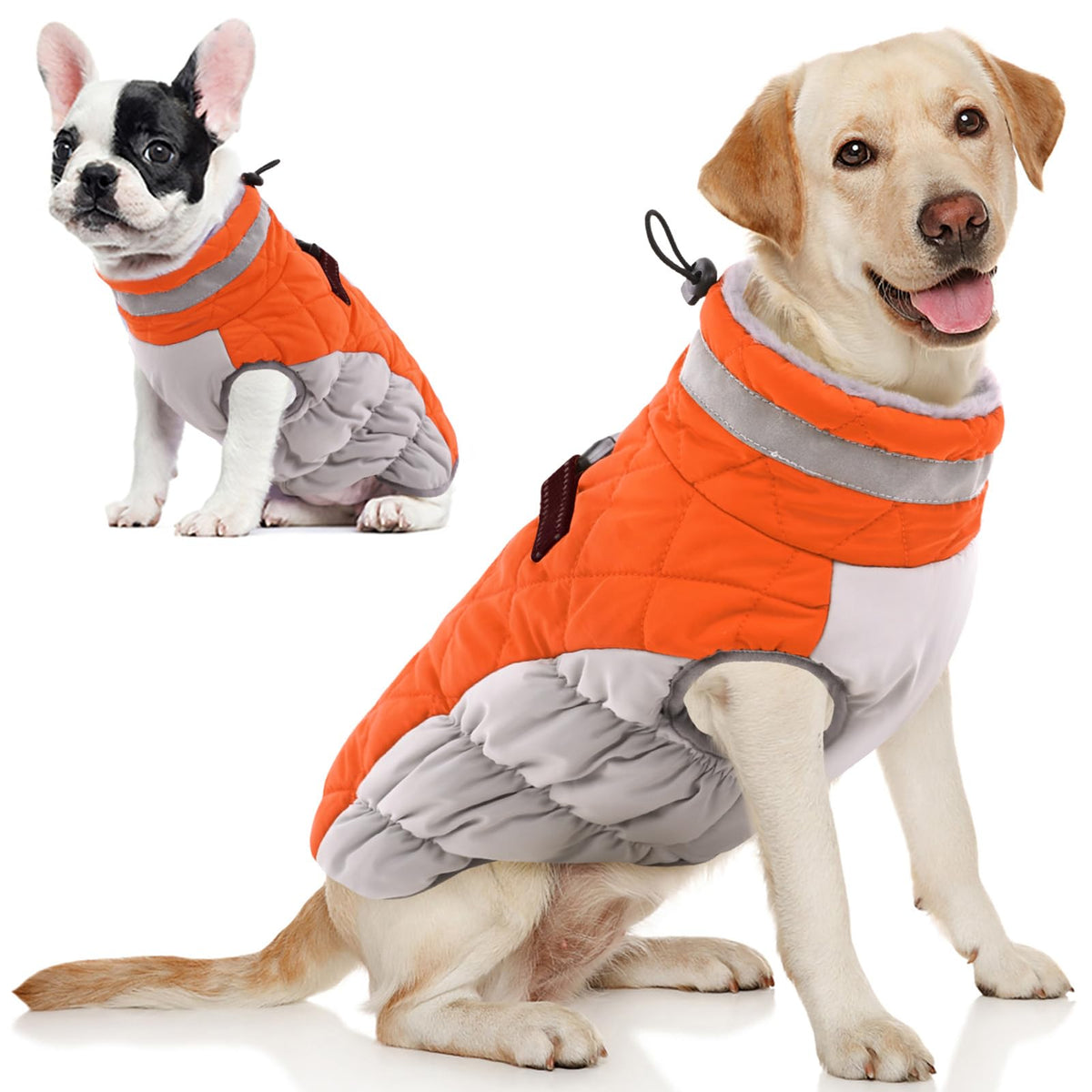AOFITEE dog coat front view showcases warmth for winter walks
