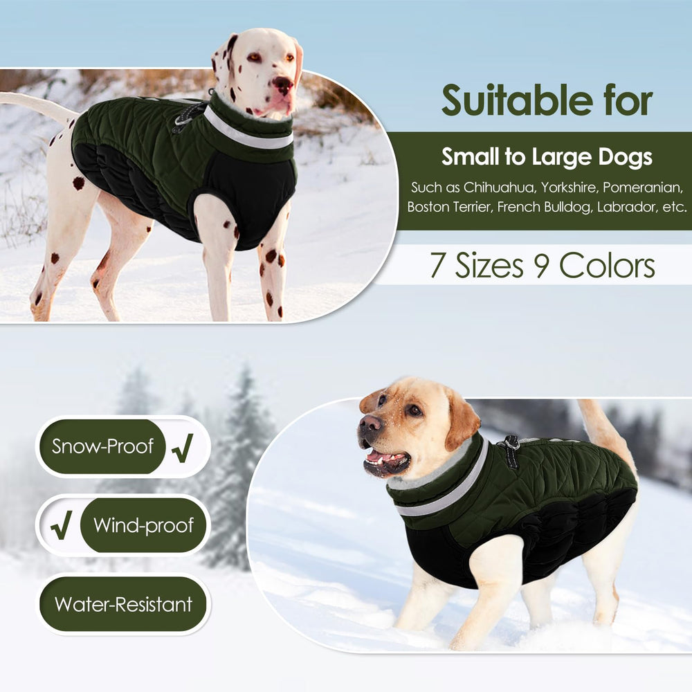 AOFITEE dog coat in green color suitable for outdoor adventures