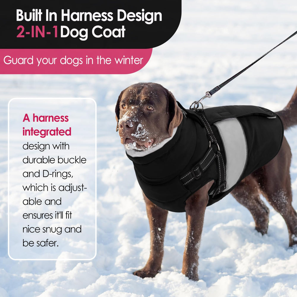 AOFITEE dog coat with harness built-in keeps leash secure for outings