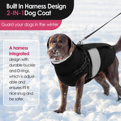 AOFITEE dog coat with harness built-in keeps leash secure for outings