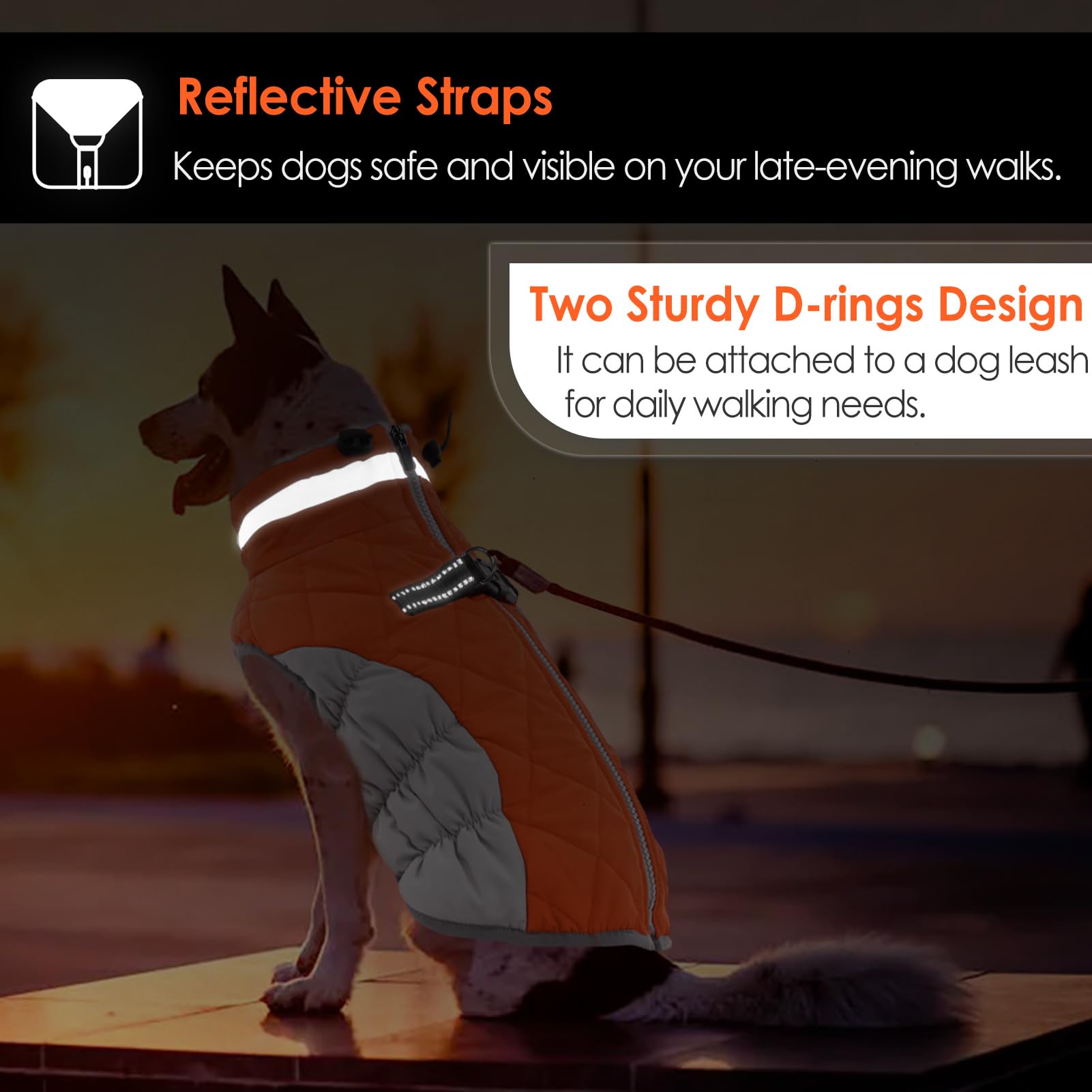 AOFITEE dog coat harness-built-in image shows convenient control on hikes