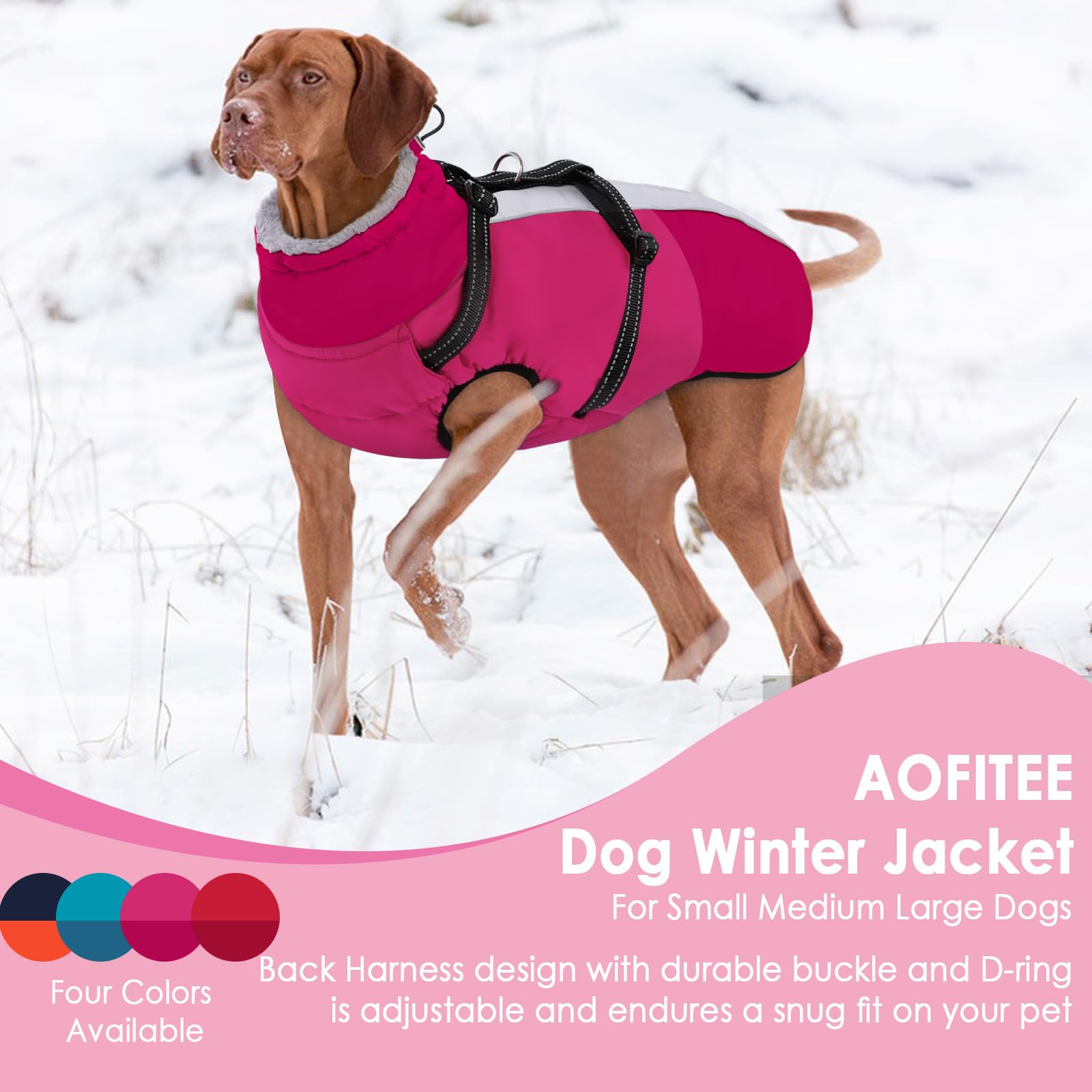 AOFITEE seven-size range accommodates breeds from Chihuahua to Golden Retriever