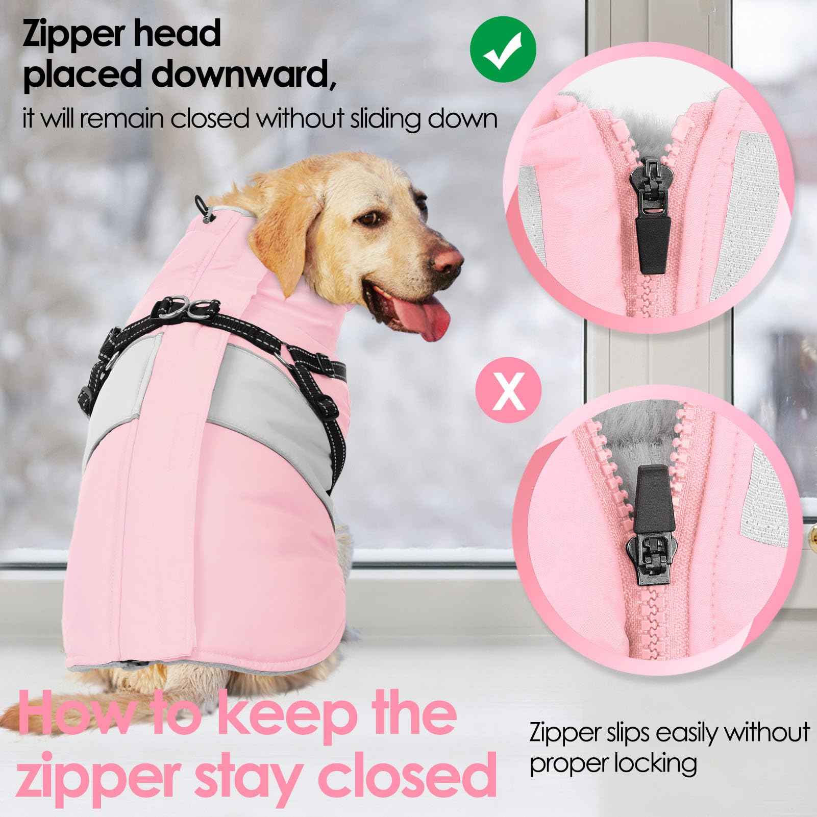 AOFITEE six-size range fits chihuahua to small terriers.