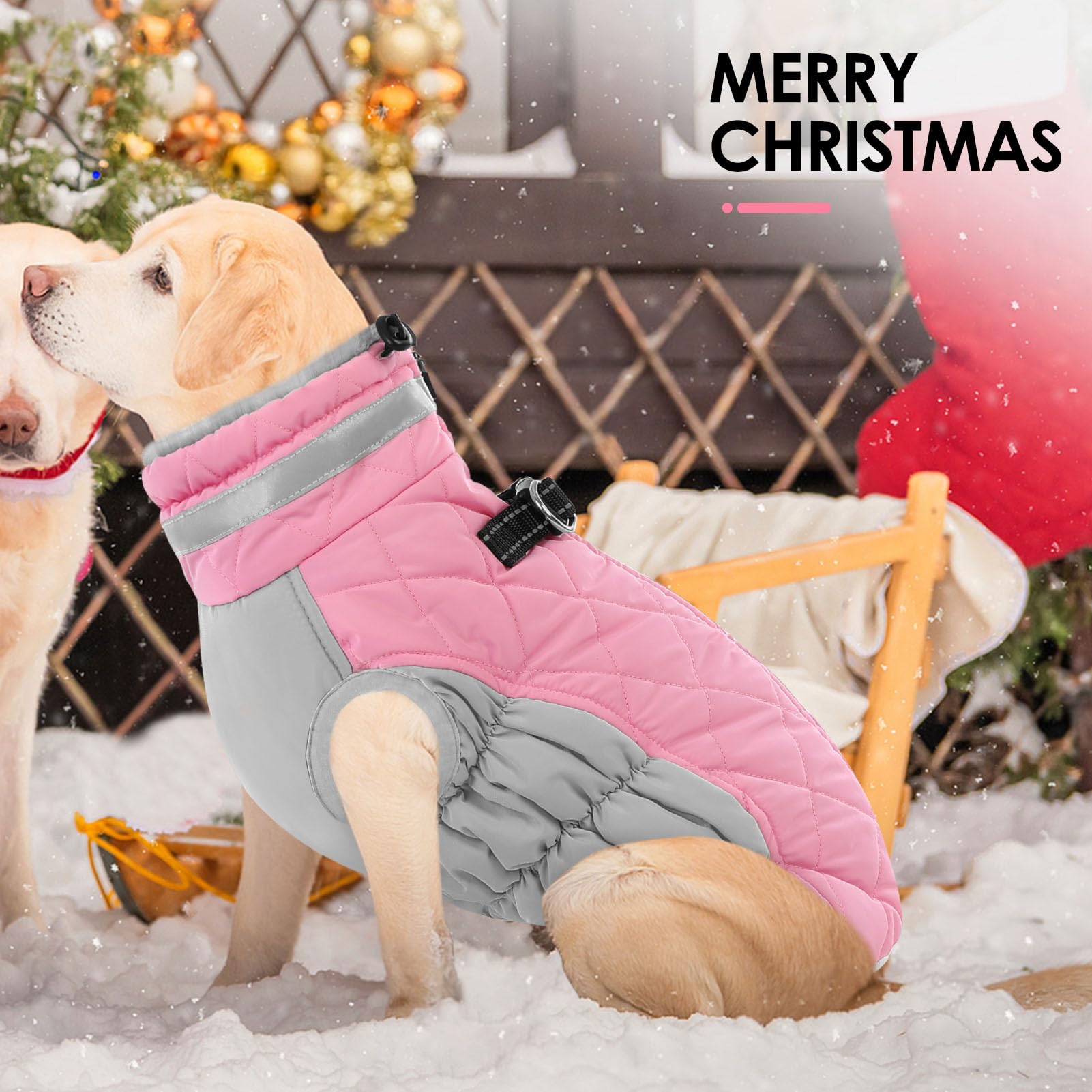AOFITEE dog coat size guide helps choosing the right fit.