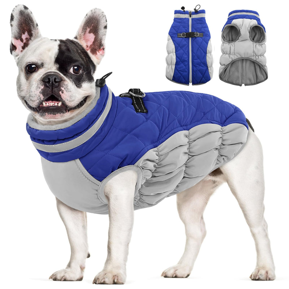 AOFITEE dog coat with warm fleece lining keeps small dogs cozy on chilly walks