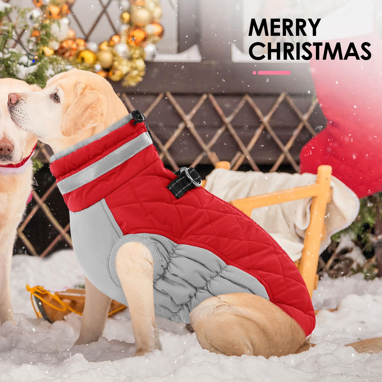 AOFITEE dog coat back view shows harness-friendly, leash-ready design.
