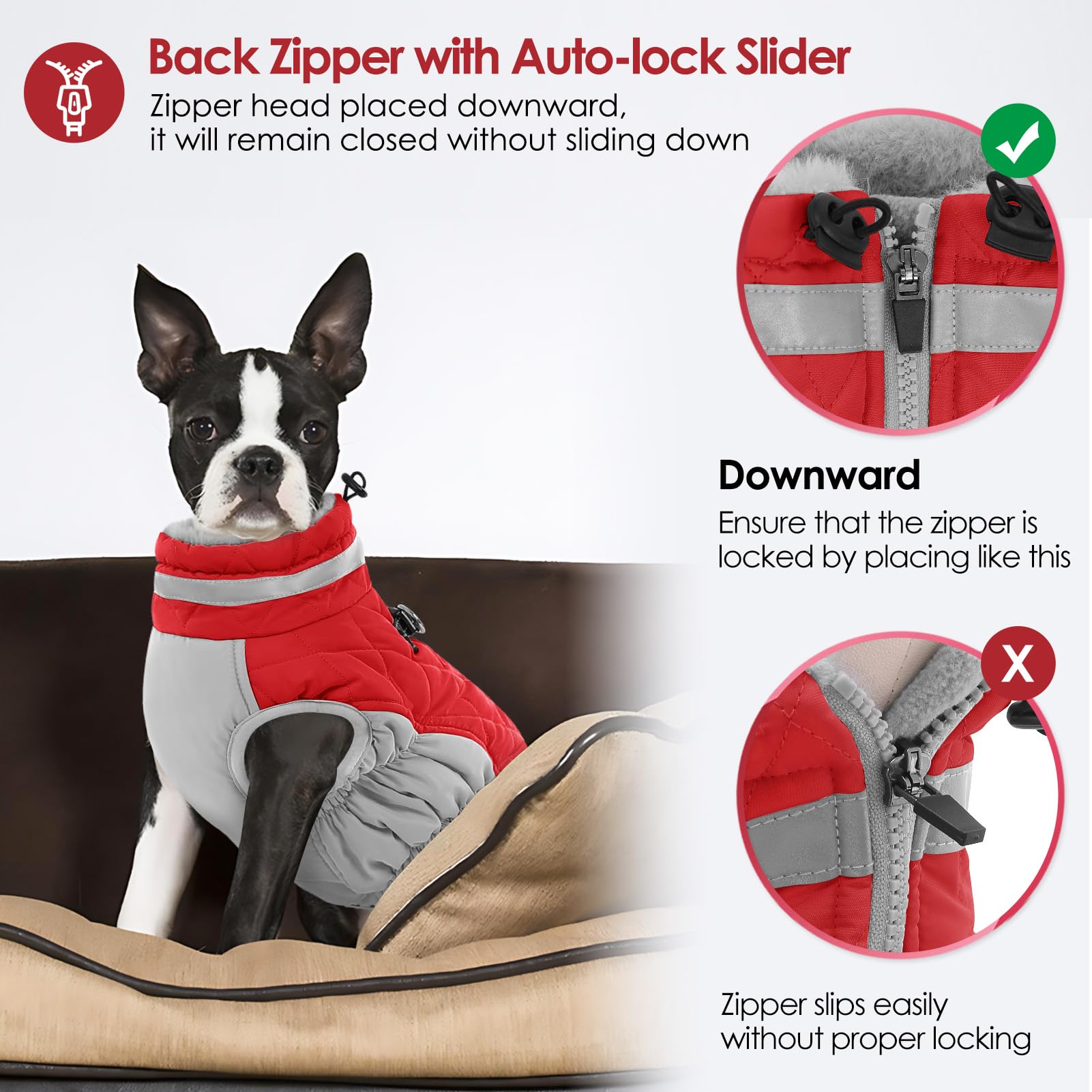 AOFITEE dog coat reflective neckline image boosts night-time visibility.