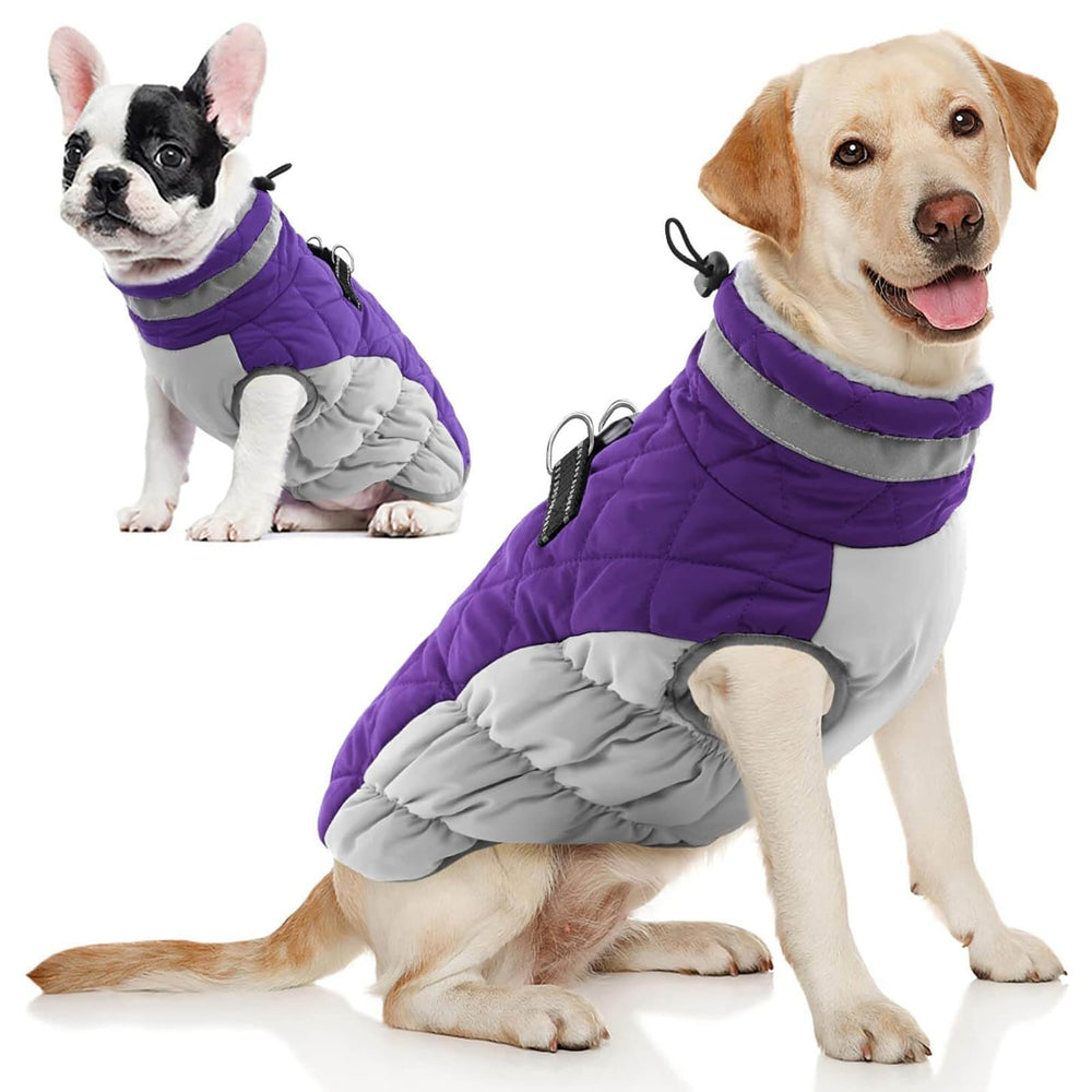 AOFITEE dog coat front view in purple showing warm winter fit