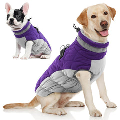 AOFITEE dog coat front view in purple showing warm winter fit