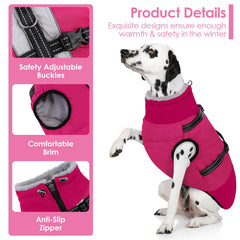 AOFITEE waterproof and windproof jacket keeps dog warm and dry during outdoor activities