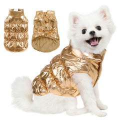 AOFITEE waterproof shell keeps small dogs dry during windy rain and light snow