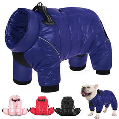 AOFITEE dog coat front view with warm fleece lining for chilly walks