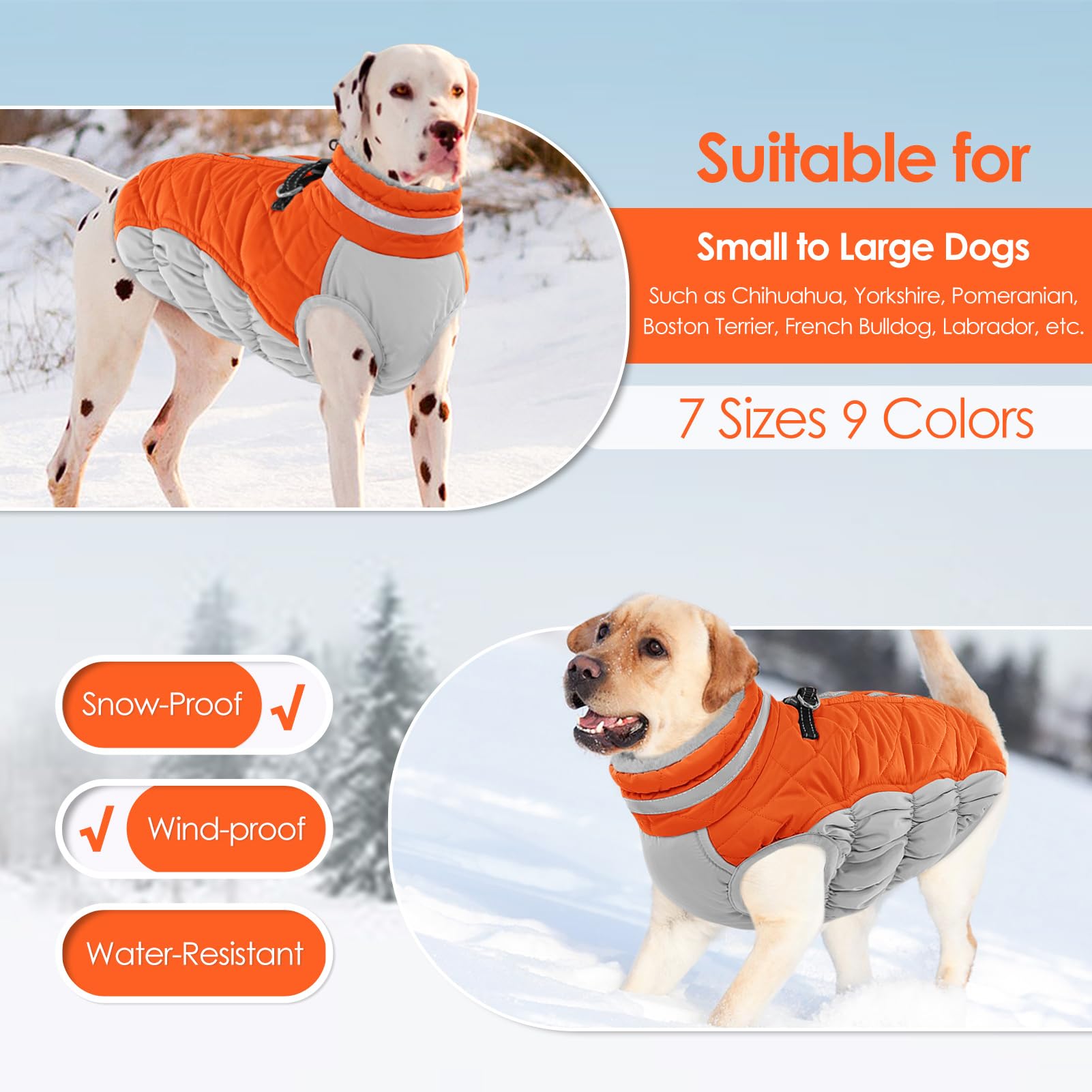 AOFITEE dual D-ring design supports secure leash attachment for safe walking