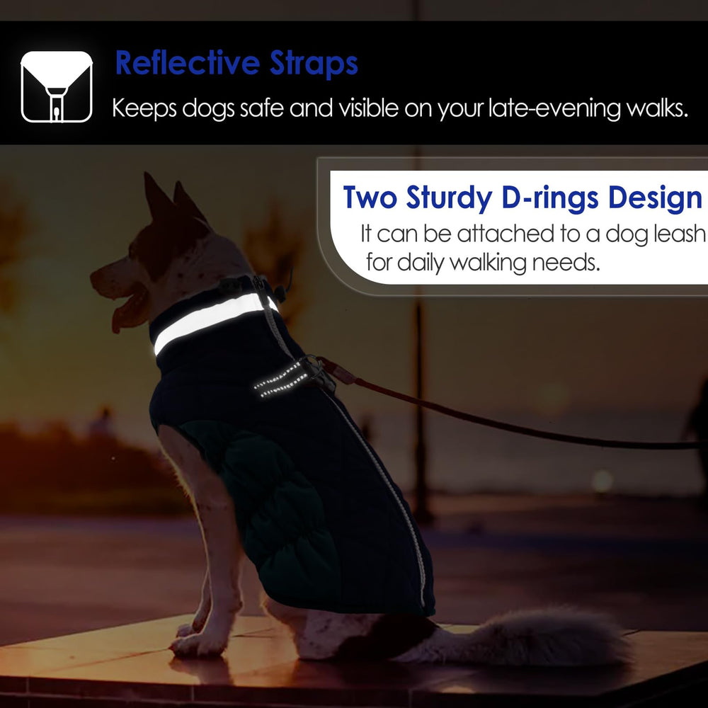 AOFITEE dual D ring attachments for secure leash options