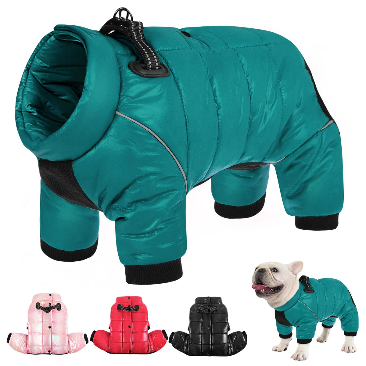 AOFITEE dog coat waterproof outer shell keeps small dogs dry on rainy walks