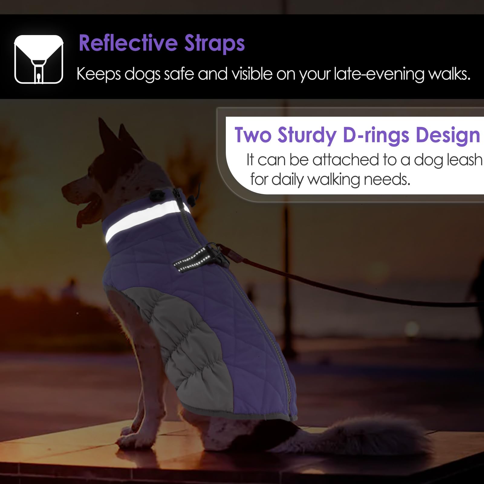 AOFITEE winter vest helps dogs stay warm during chilly walks.