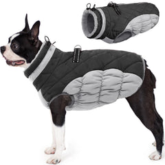 AOFITEE dog coat worn on a dog showcasing warm winter protection for chilly walks