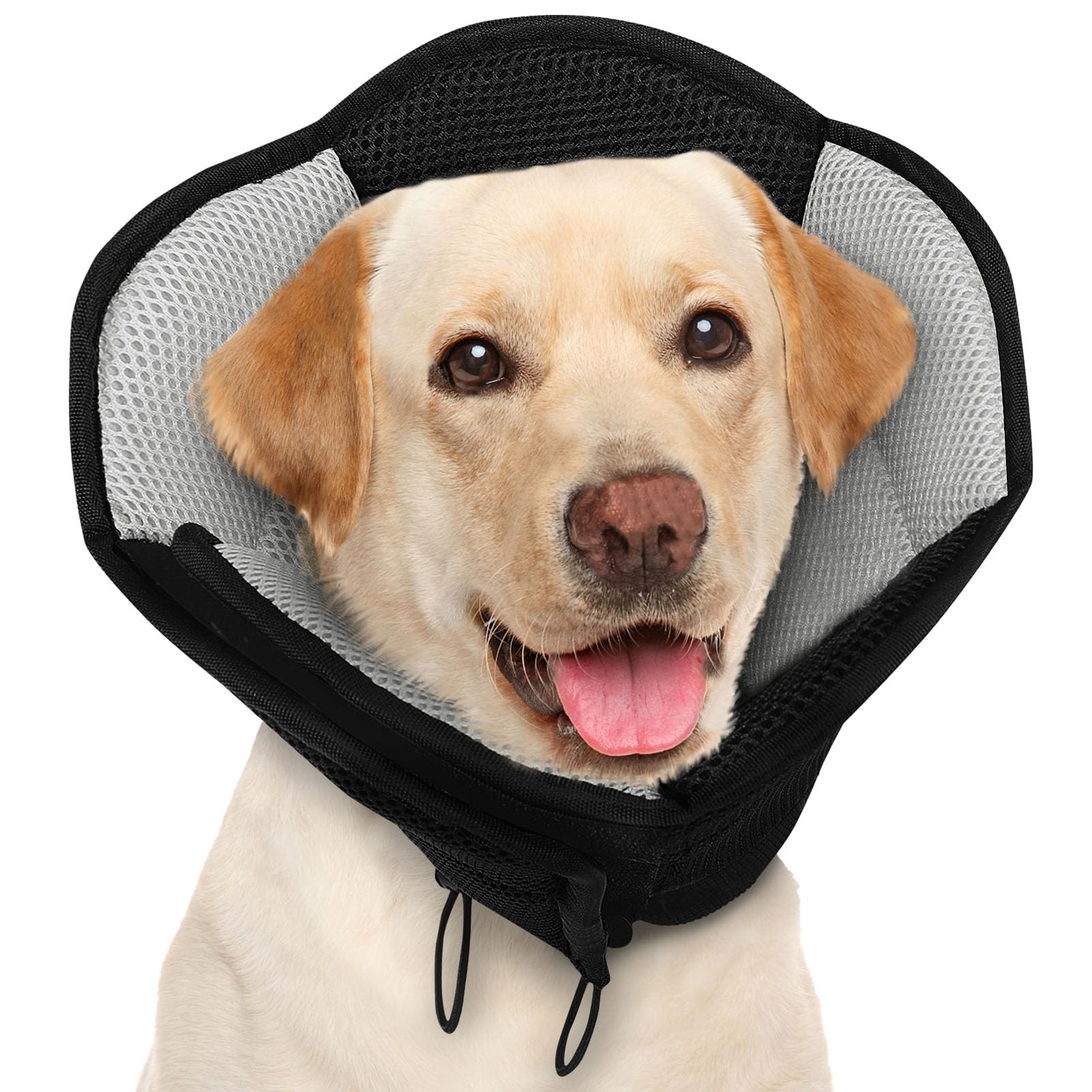 AOFITEE dog cone in black large worn by a dog for post-surgery recovery.
