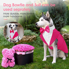 AOFITEE dog tuxedo bandana collar with removable bow for versatile looks.