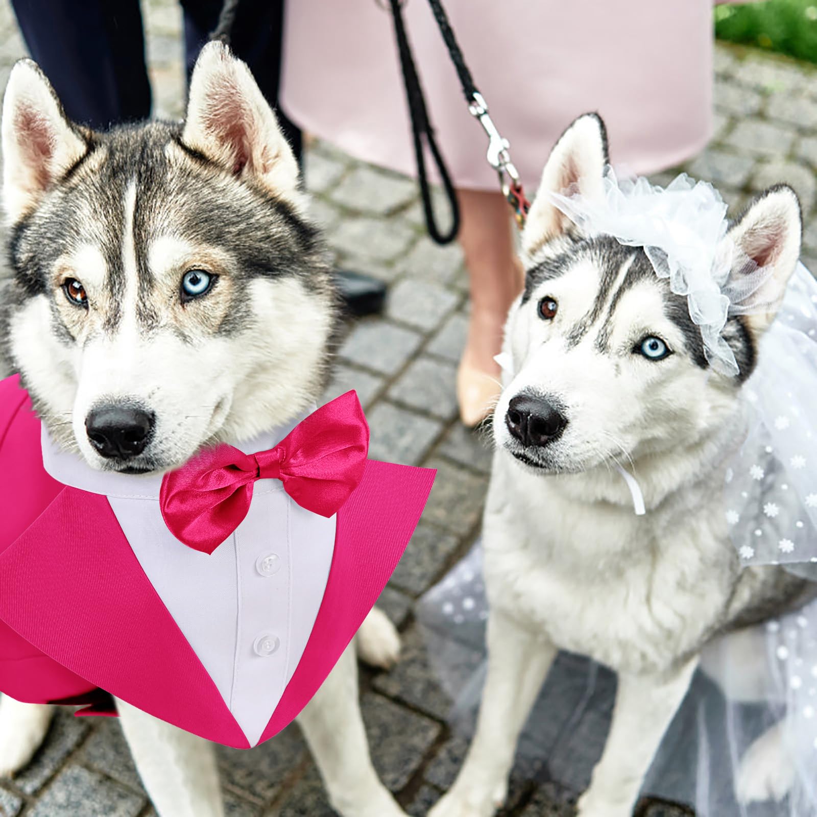 AOFITEE dog tuxedo holiday dress ready for Christmas or Halloween celebrations.