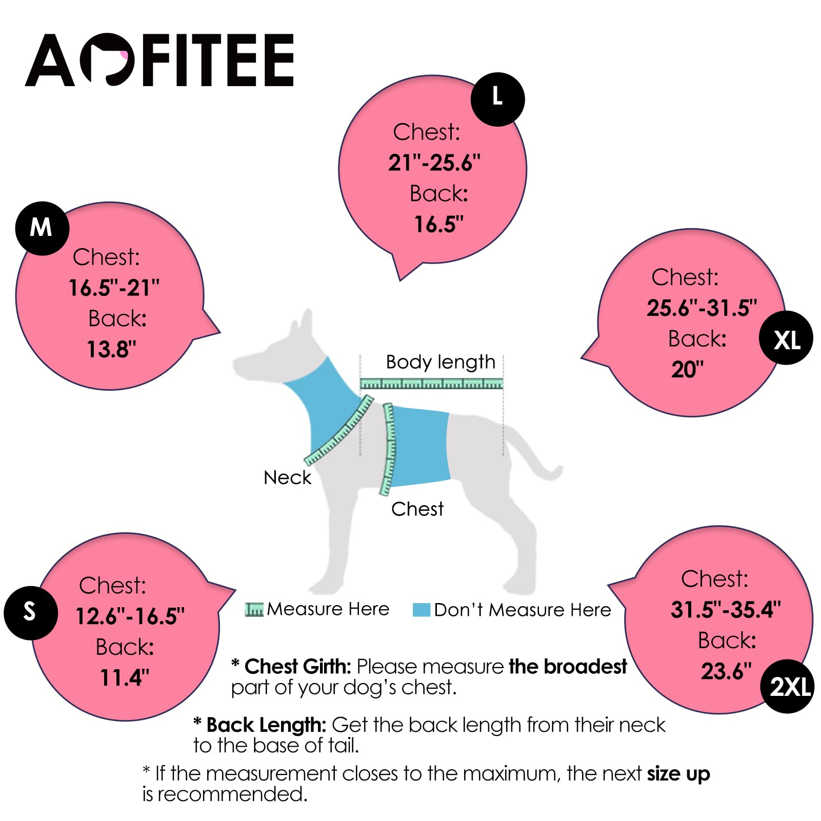 AOFITEE dog tuxedo back leash ring for secure walking or posing.