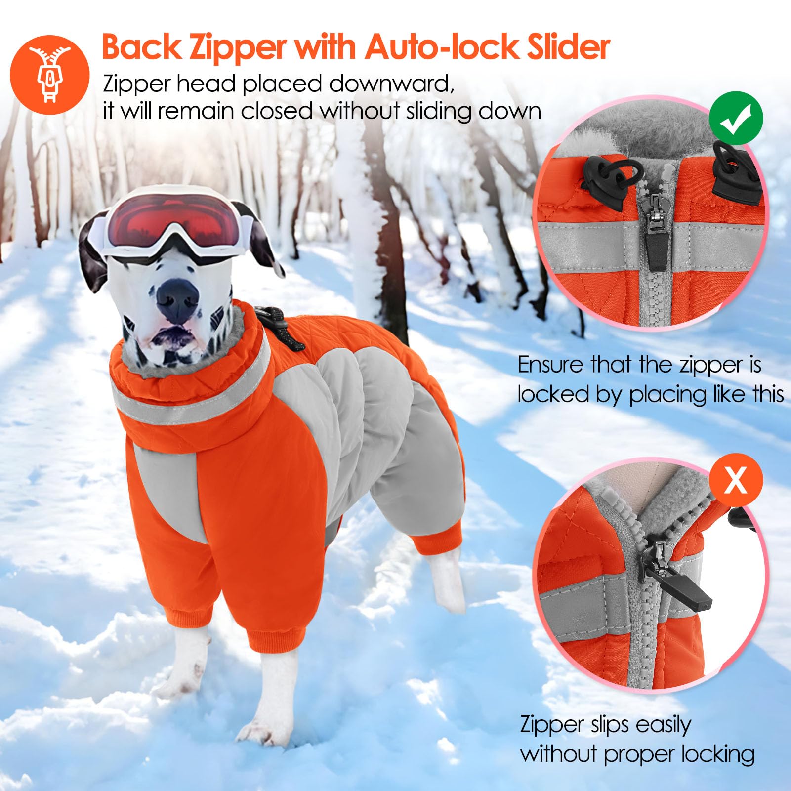 AOFITEE dog coat worn on a dog during a casual walk for everyday protection.