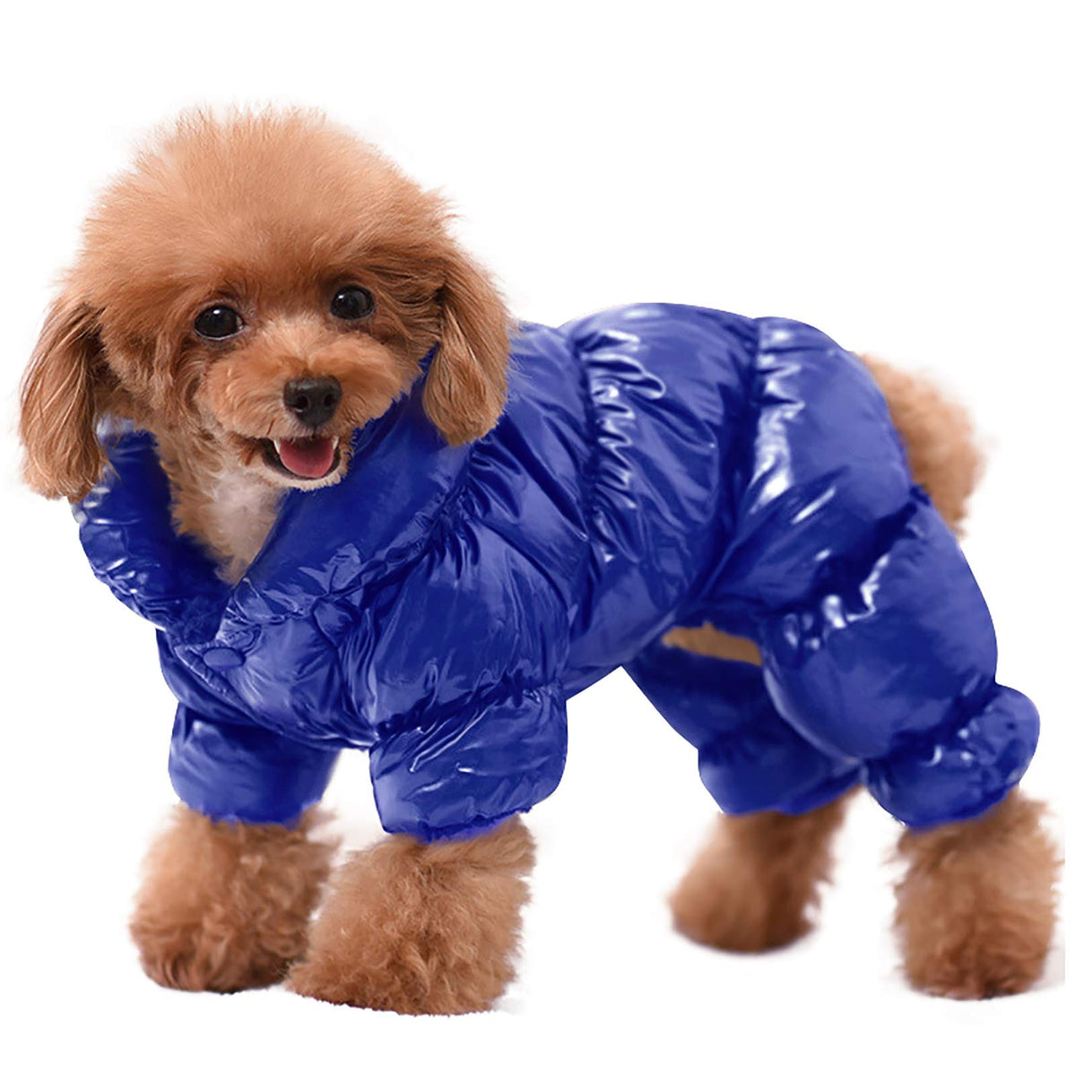 AOFITEE Dog Winter Coat waterproof shell keeps small dogs dry during snowy walks