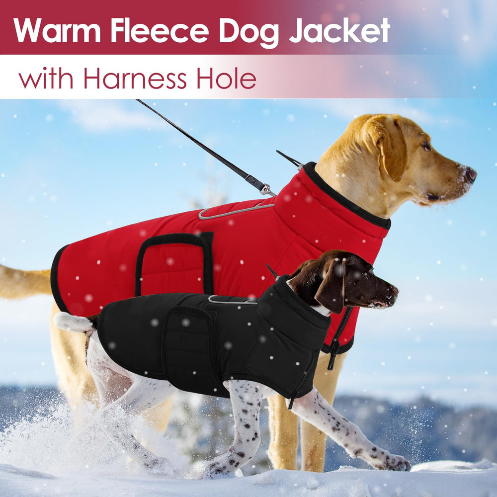 AOFITEE six-size range coat helps find the right fit for your dog.