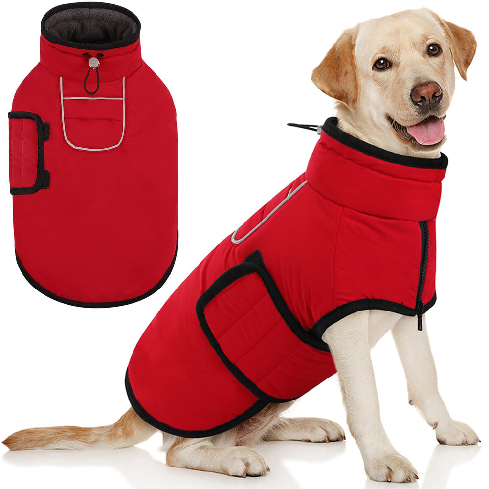 An AOFITEE large dog winter coat with waterproof shell protects against rain and wind on walks.