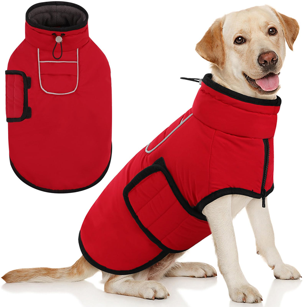 An AOFITEE large dog winter coat with waterproof shell protects against rain and wind on walks.