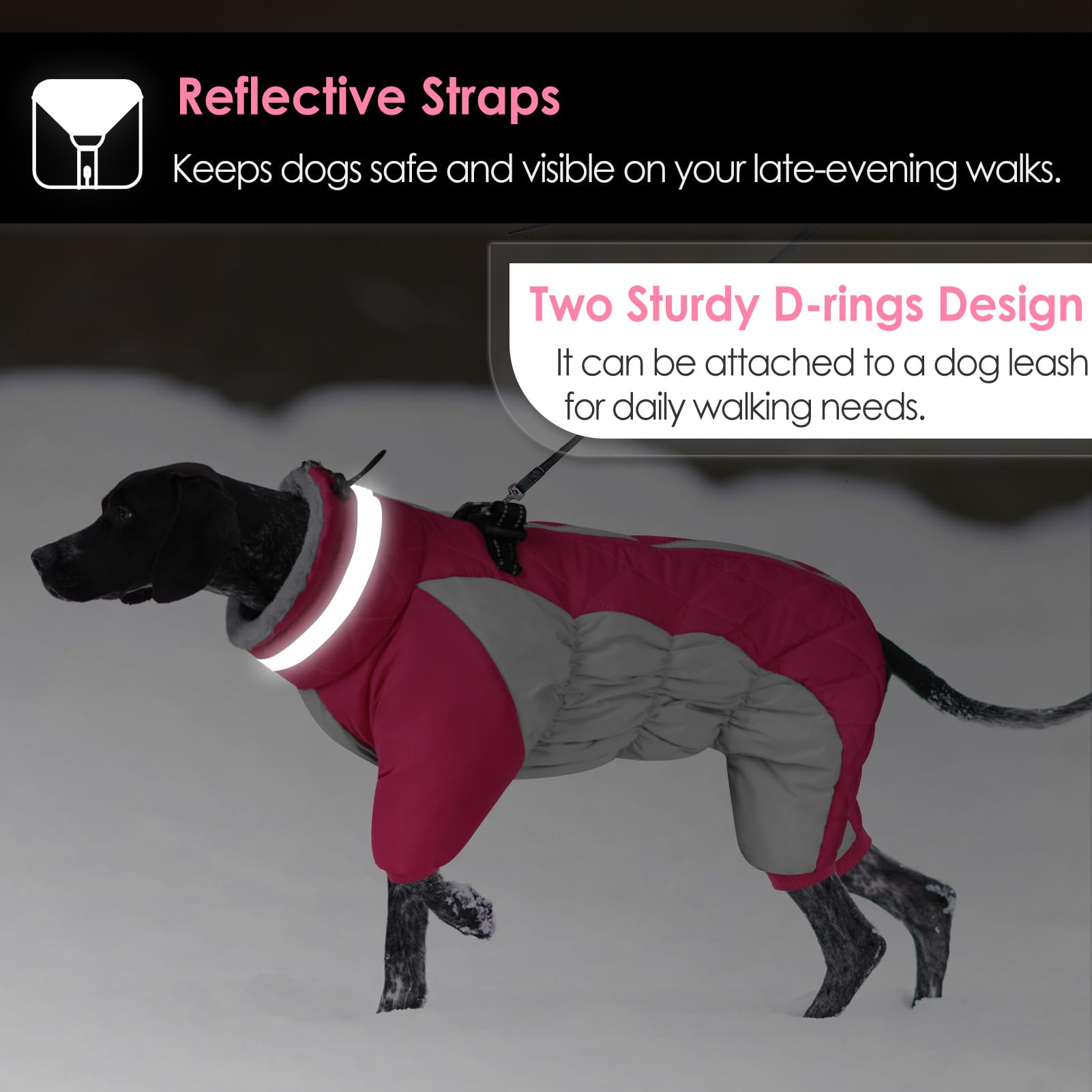 AOFITEE night-walk visibility dog coat helps keep dogs seen in the dark