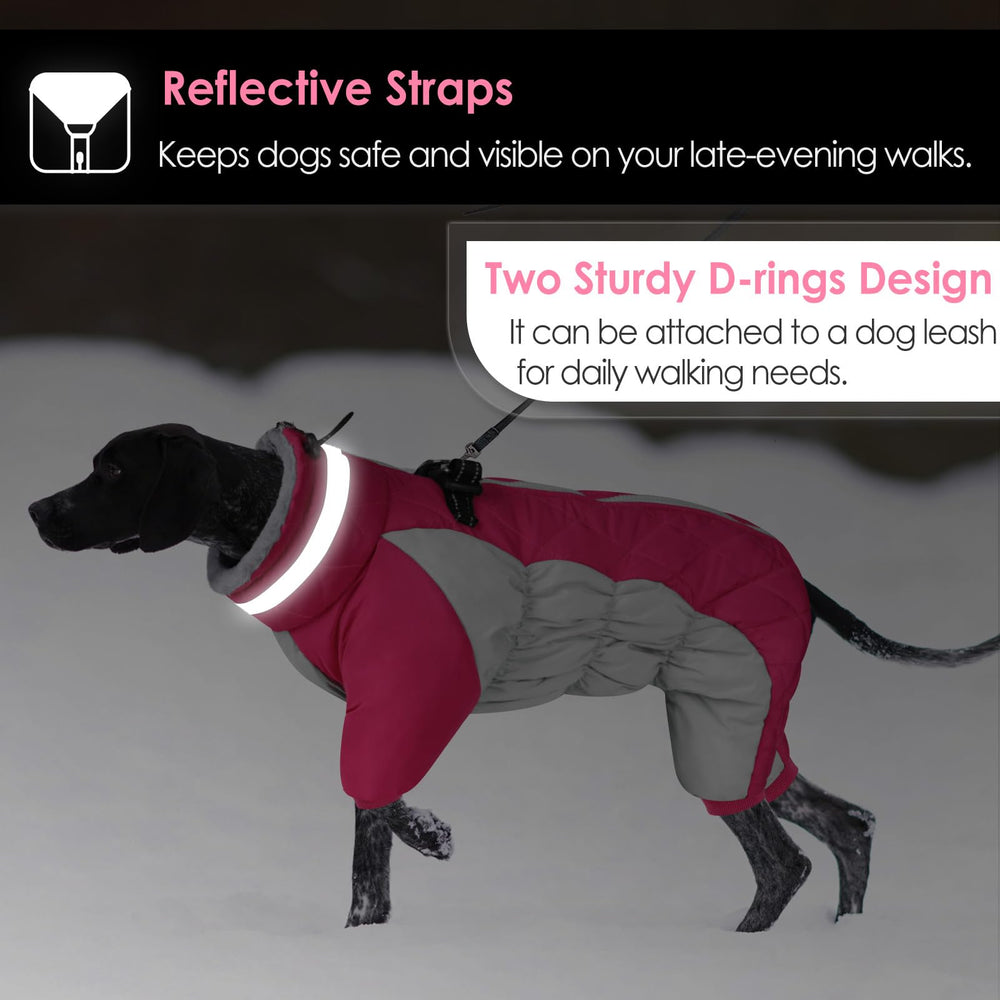 AOFITEE night-walk visibility dog coat helps keep dogs seen in the dark