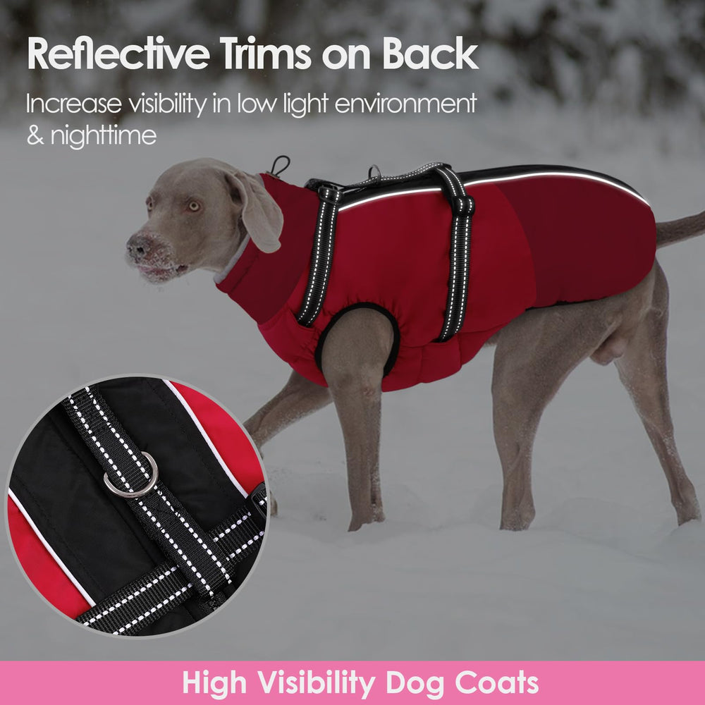 AOFITEE seven-size range fits many breeds from chihuahua to golden retriever.