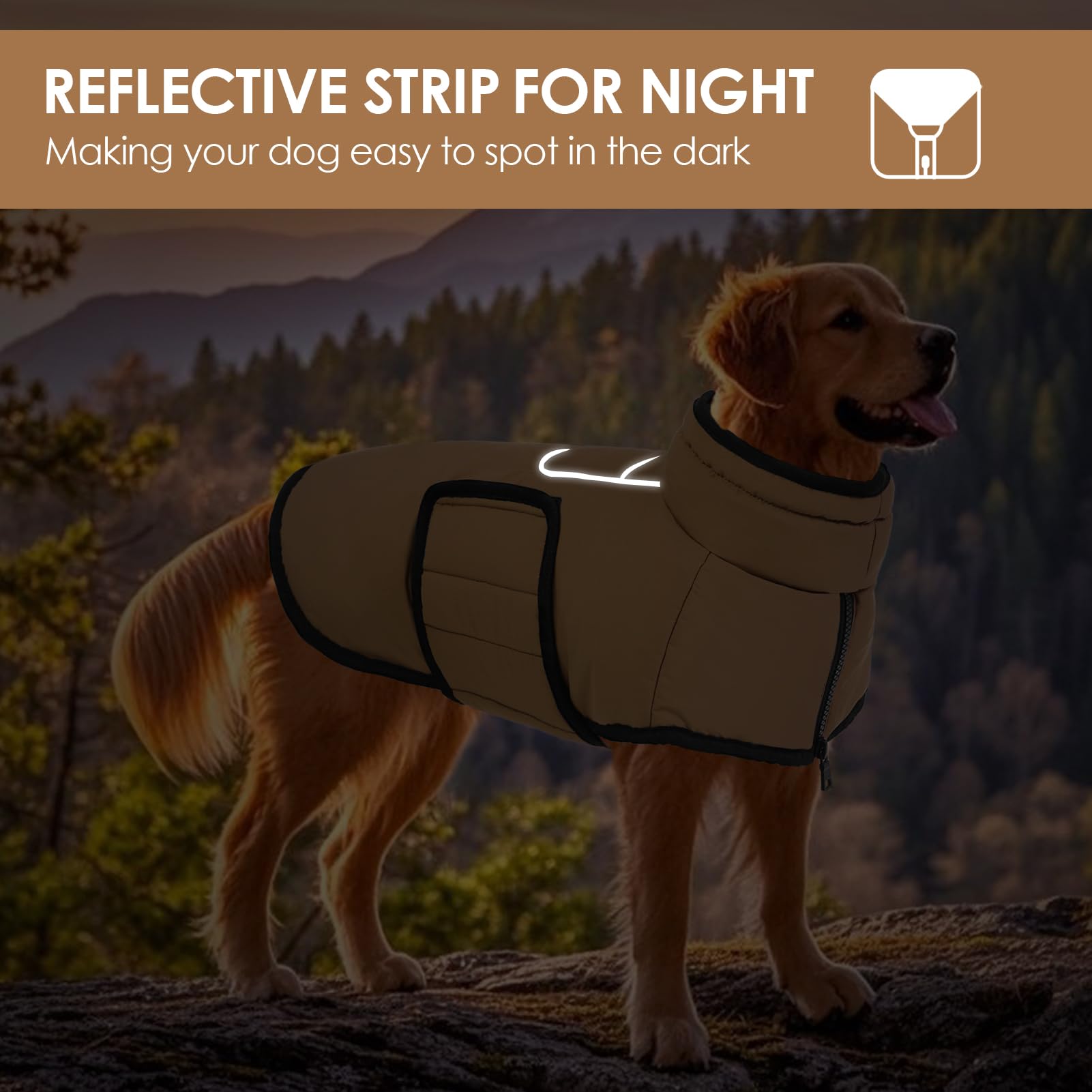 AOFITEE size guide showing six sizes for small to large dogs
