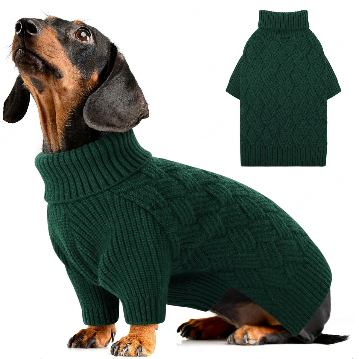 AOFITEE green XS dog sweater on a small dog for cozy warmth