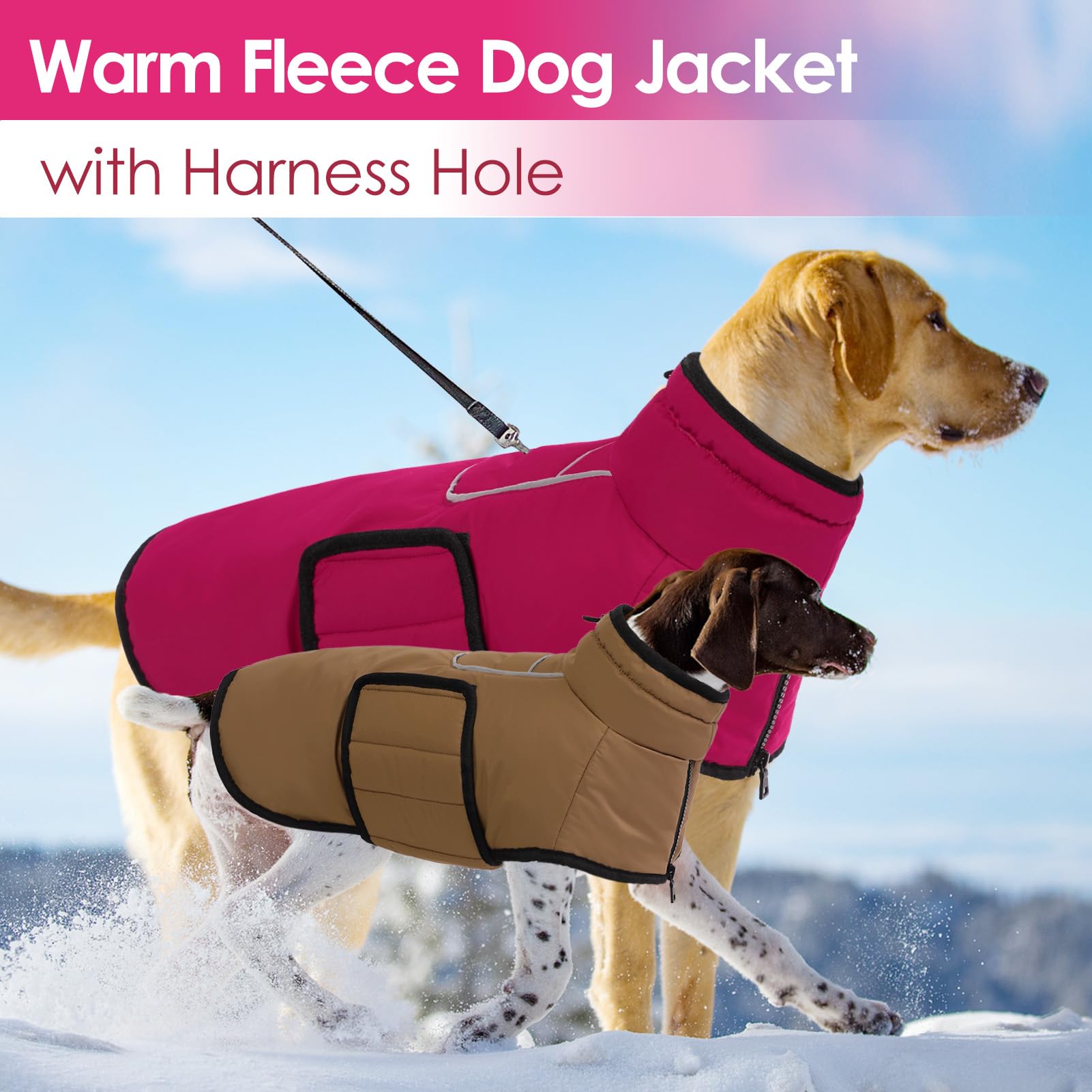 AOFITEE XL winter dog coat worn by a large breed for cold weather
