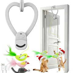 Aoioploa clip-on frame cat toy enabling vertical space-saving play for indoor cats.
