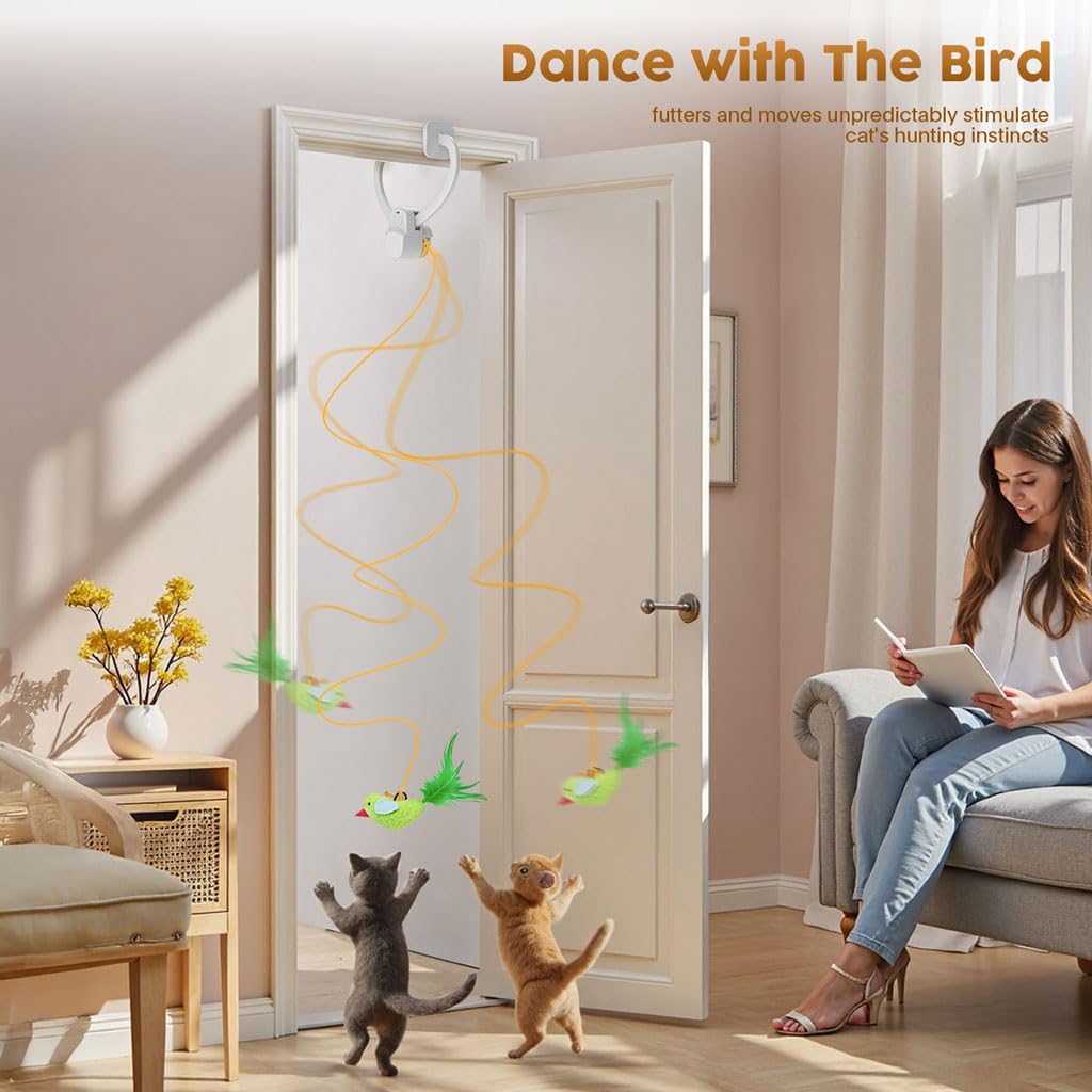 Aoioploa USB-rechargeable cat toy with quiet operation for peaceful homes.