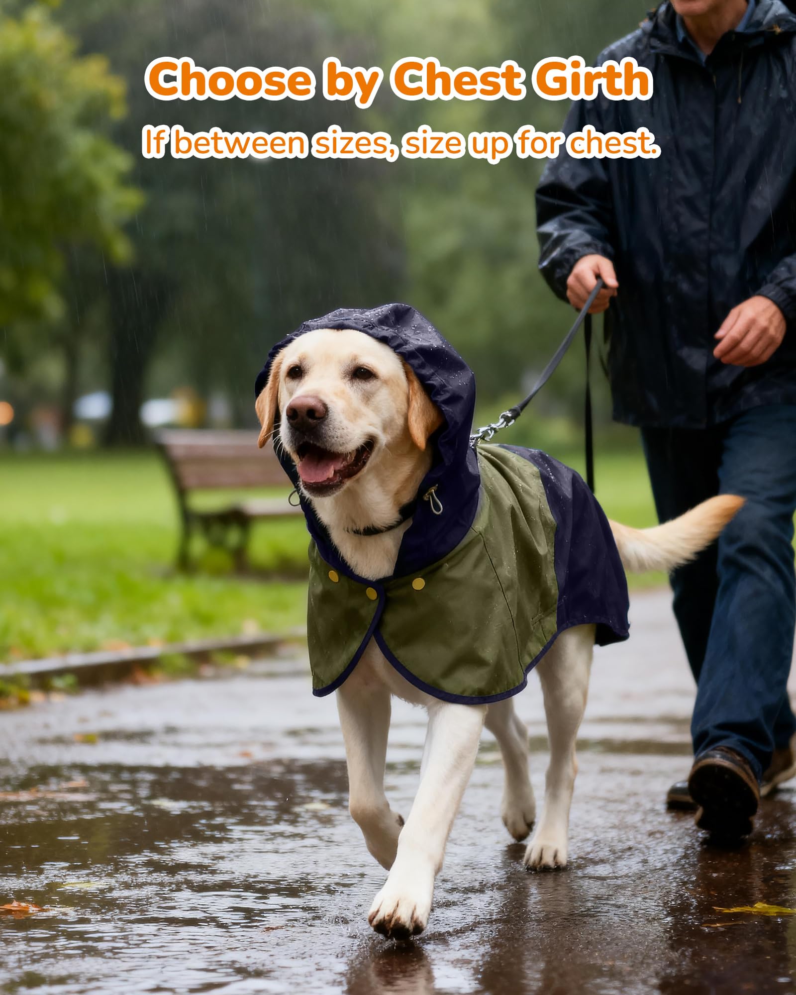 Aokown dog raincoat extended coverage blue shields hindquarters from wind