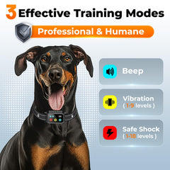 Aolulf dog training collar close-up of control buttons for precise mode selection.