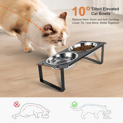 Aomafamzoy tilted cat bowl in use promoting ergonomic dining