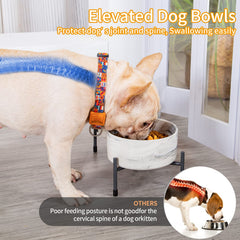AOMRYOM elevated feeder in a cozy kitchen supporting ergonomic dining for pets.
