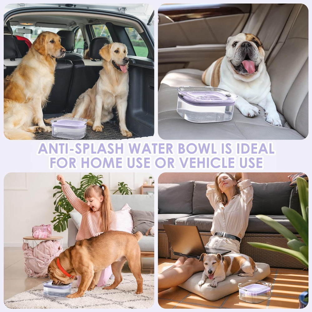 AONKEY 3L dog water bowl Violet stylish color complements any home