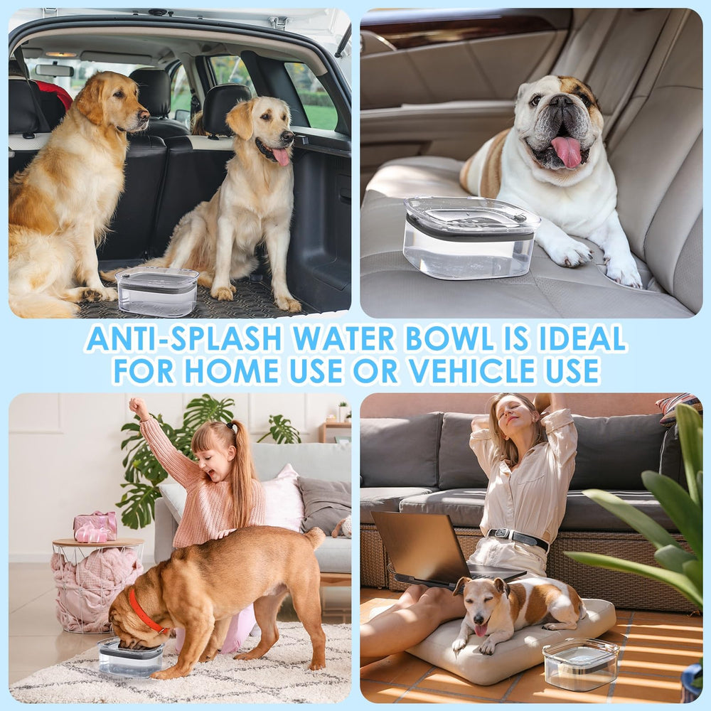 AONKEY large-capacity bowl provides ample water for busy days.