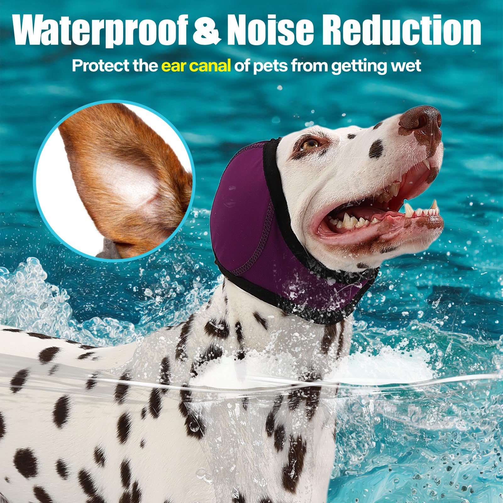 AOOLMOL dog hematoma ear wrap in use demonstrating gentle support and soothing fit
