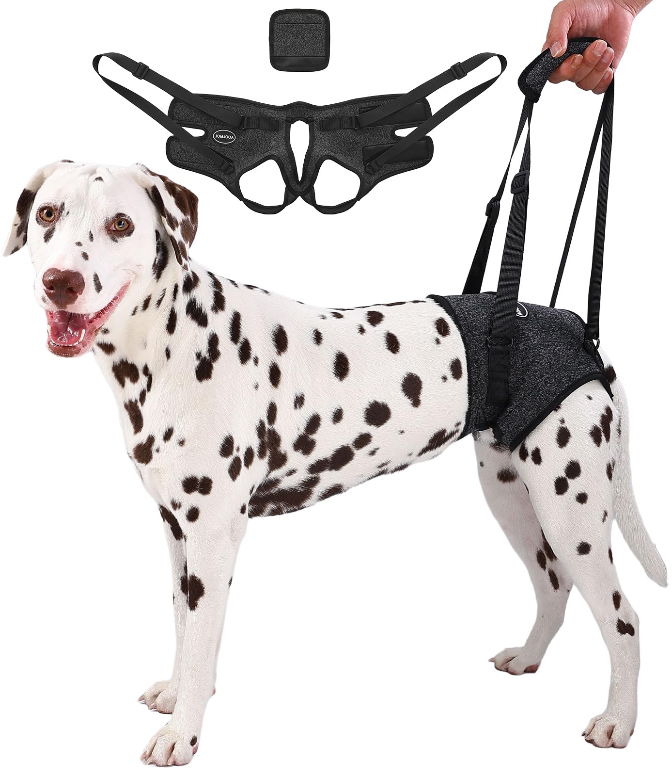 AOOLMOL dog sling rear leg harness supports mobility for arthritic dogs