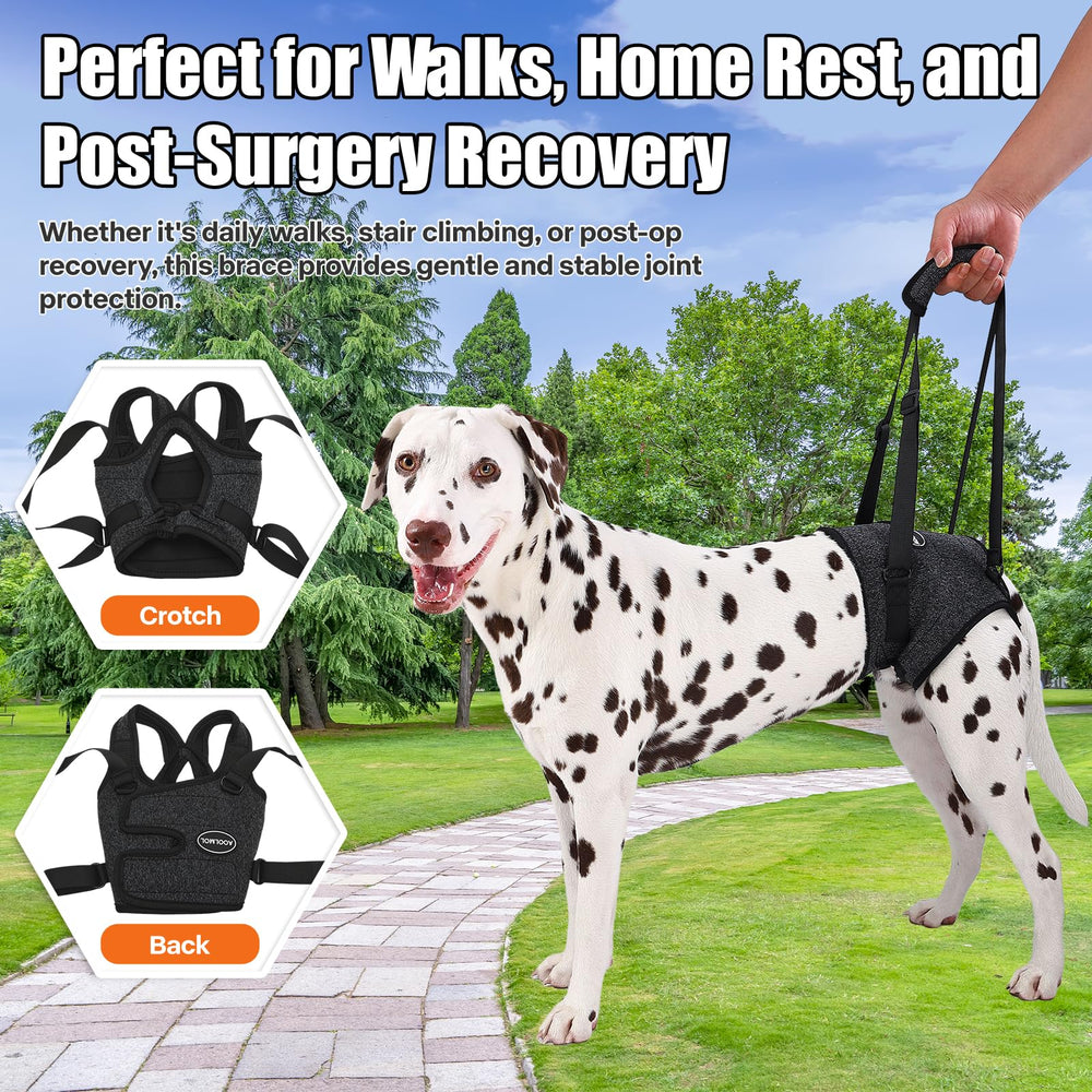AOOLMOL dog sling toilet groove for easy relief without removal