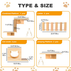 Aoparts PetKABOO cat climber with ladder demonstrates multi-level exploration